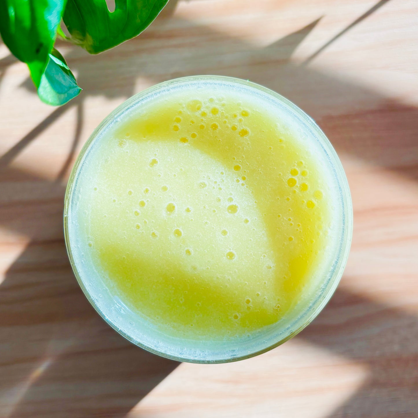 Sacred Sea Moss Gel